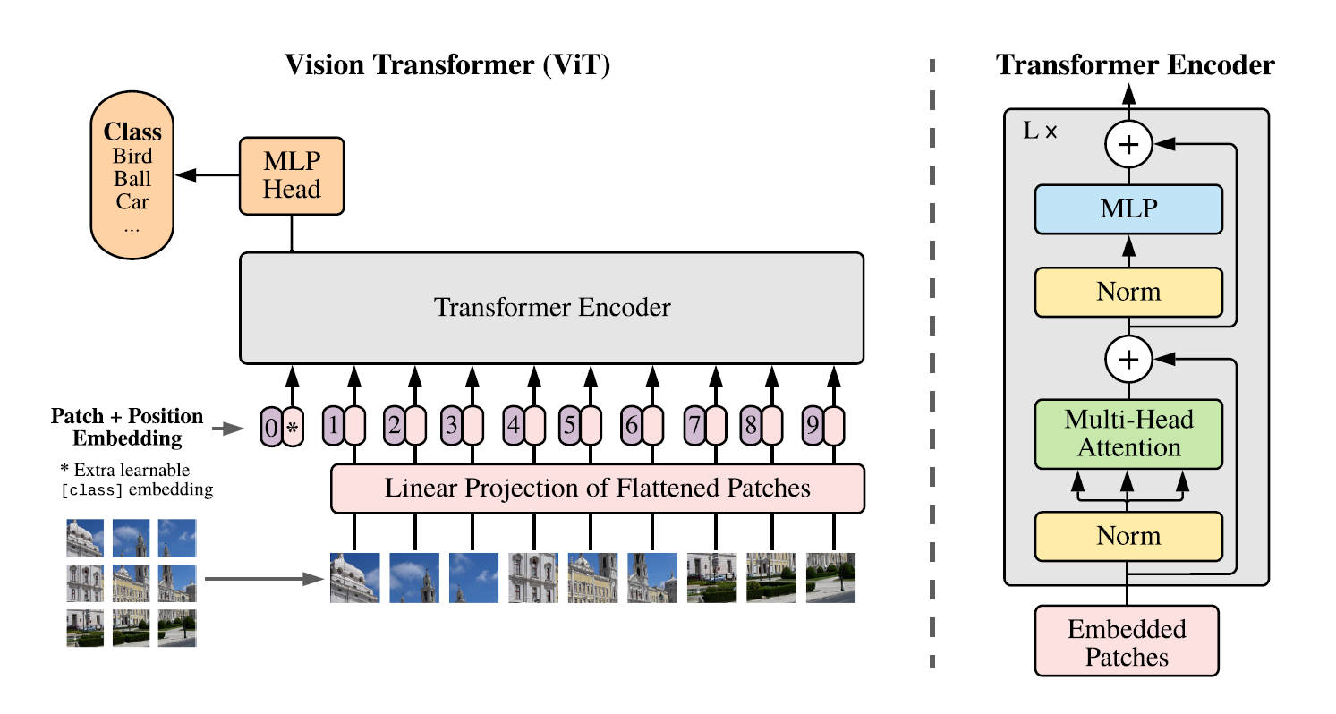 ViT, Transformer架构出圈到cv