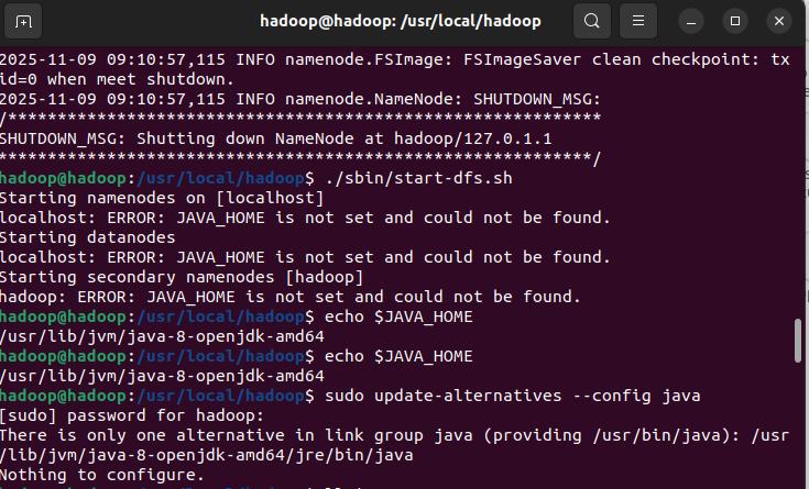 image-20251109095616306