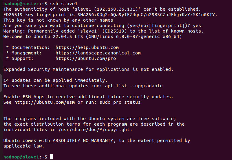 image-20251109122244752