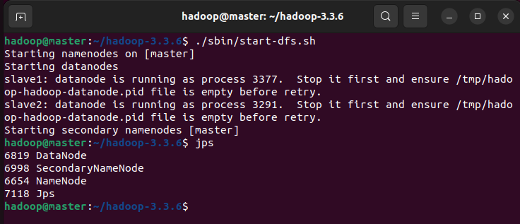 image-20251109142827121