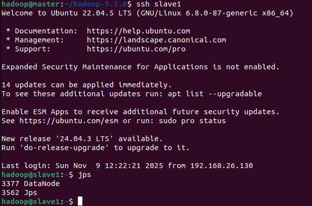 image-20251109143038855