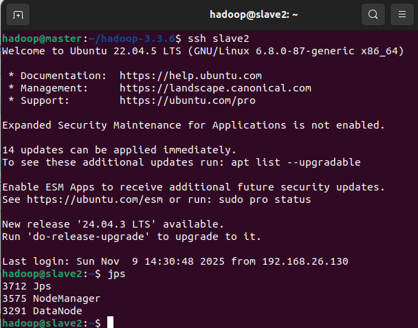 image-20251109145659500