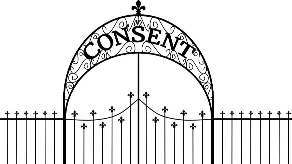 经同意的语音克隆