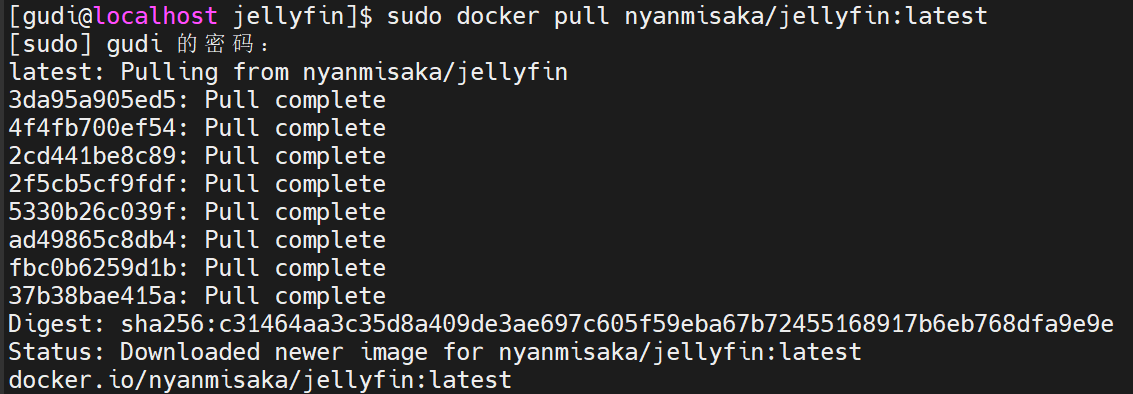 拉取 nyanmisaka jellyfin docker 镜像