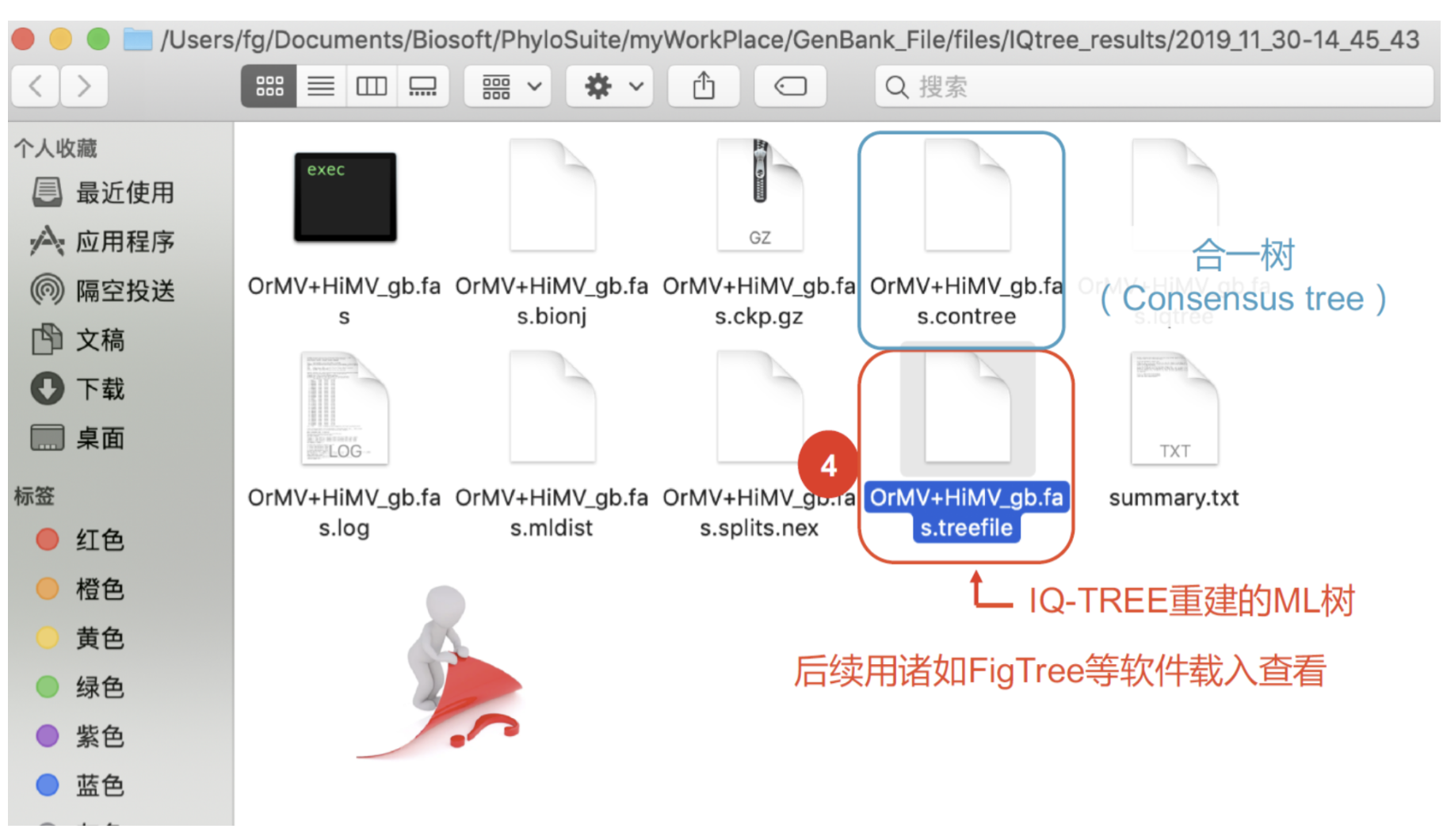 ML树构建简明教程