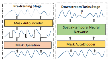 Spatio-Temporal Pre-training Paradigm