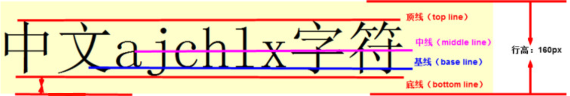 字体基线