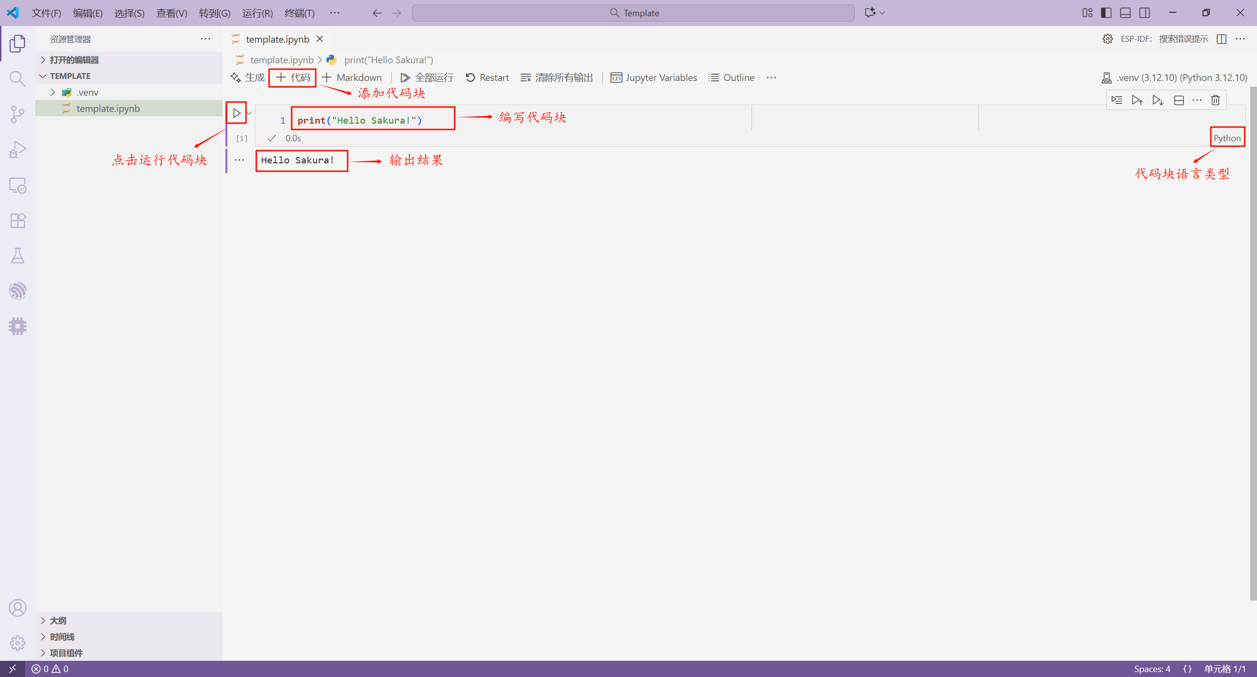在Jupyter中添加Python代码块