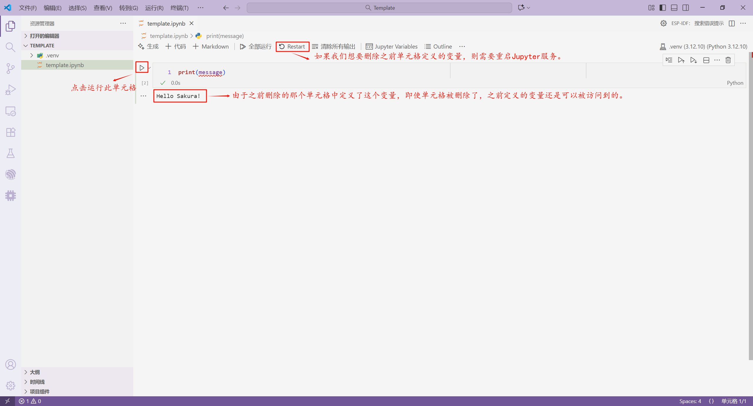 删除之前删除的单元格中的变量