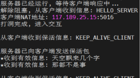 UDP内网穿透和打洞原理的C语言代码实现