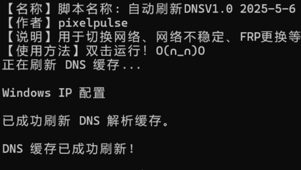 自动刷新DNS脚本