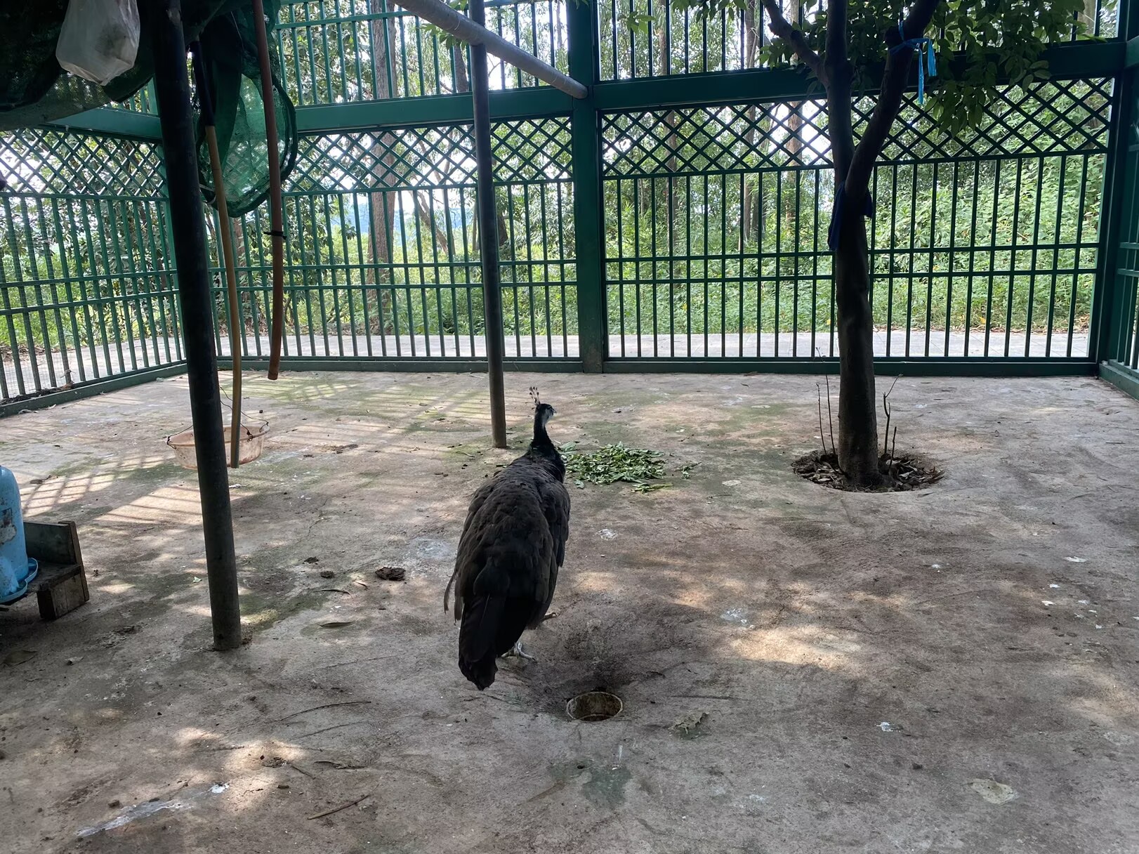 faa4afbb381768712a77ac722eb76371