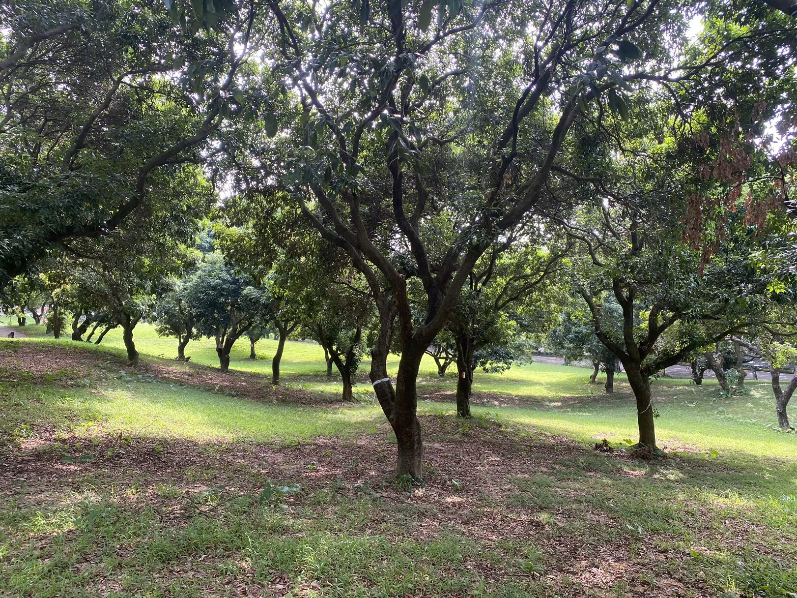 7c74da8d1659ebb2699aacd15ab672bc