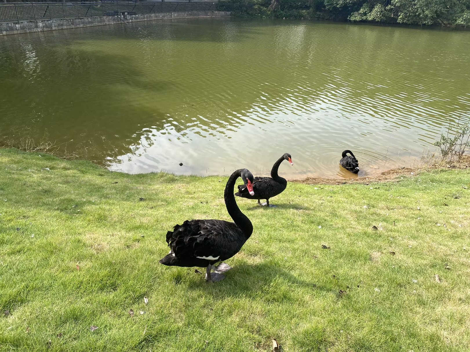 7cfd44e0af92bbe1ac5a56f35b69bdb9