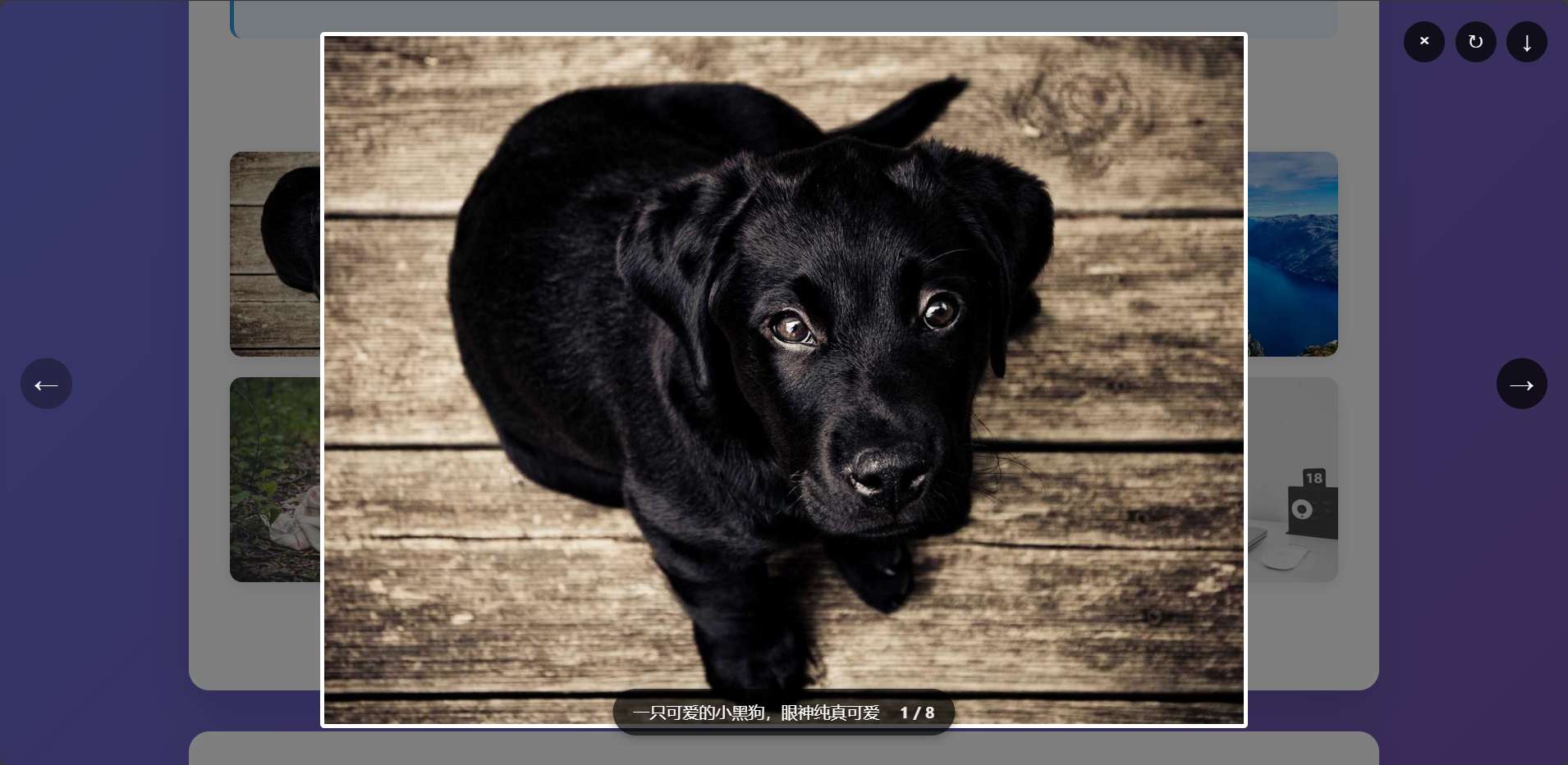 桌面端预览效果