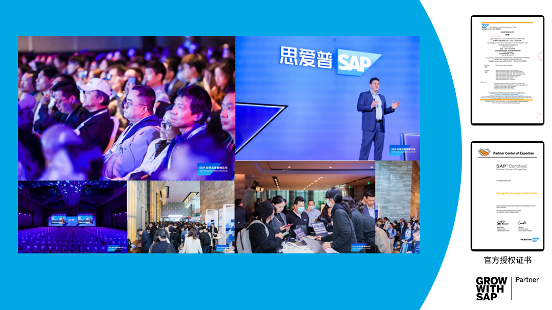 有哪些具有代表性的SAP金牌合作伙伴公司？知名SAP官方认证合作伙伴清单02