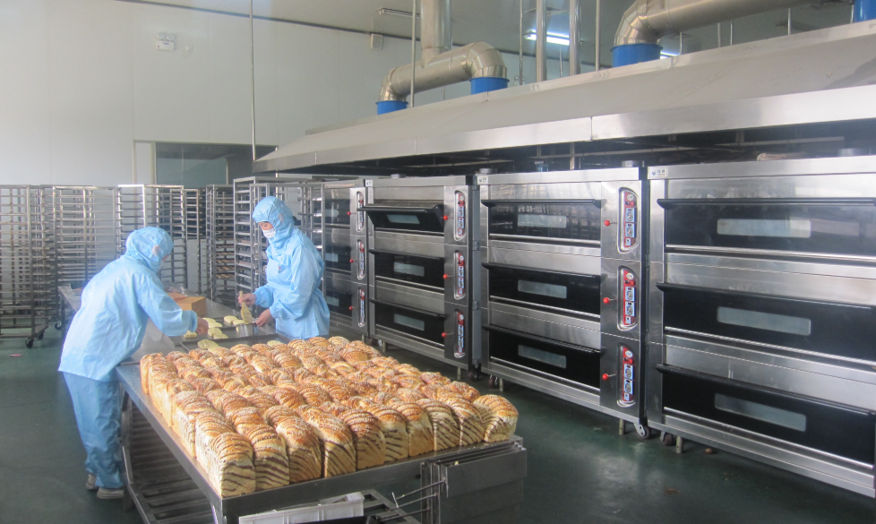 00a4064fd0cb0cb619fb01738100dc32