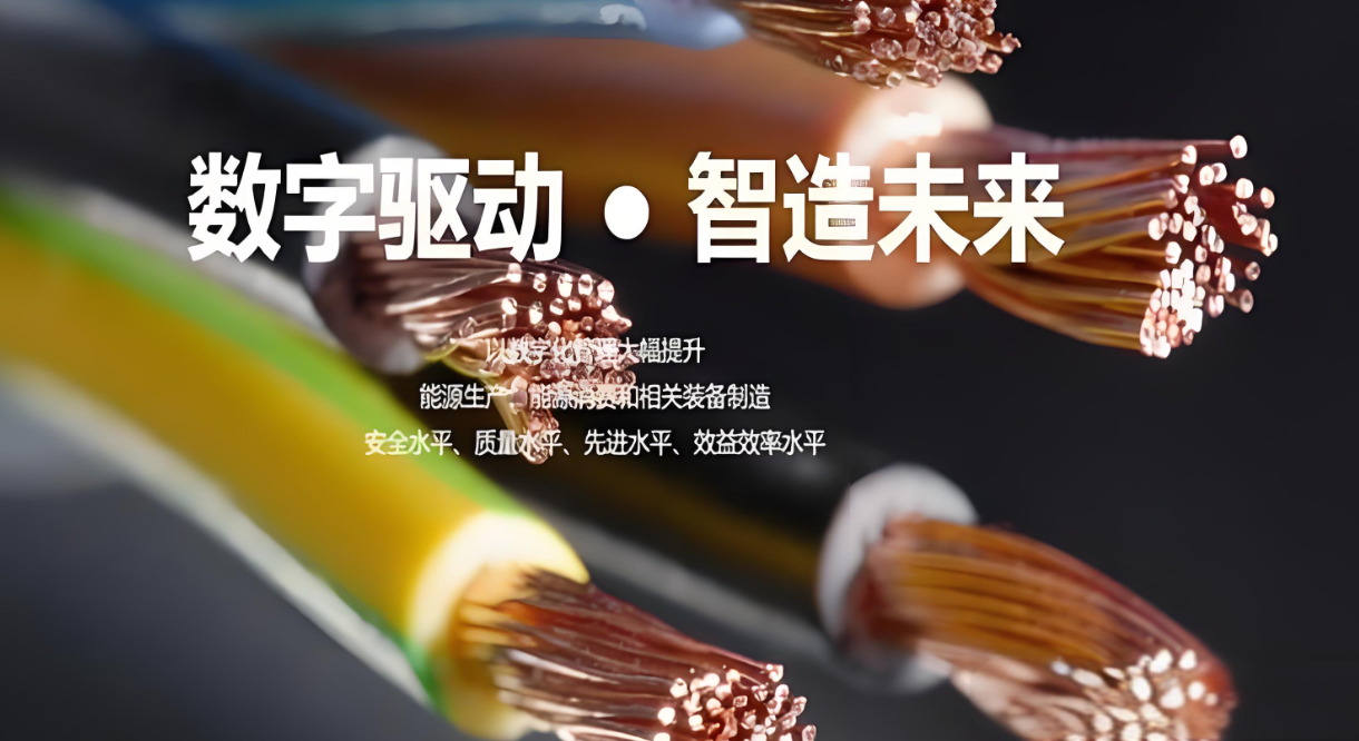 微信图片_20250923140818_196_2