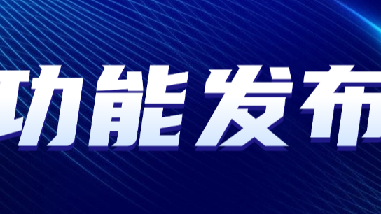 功能发布-自定义SQL查询
