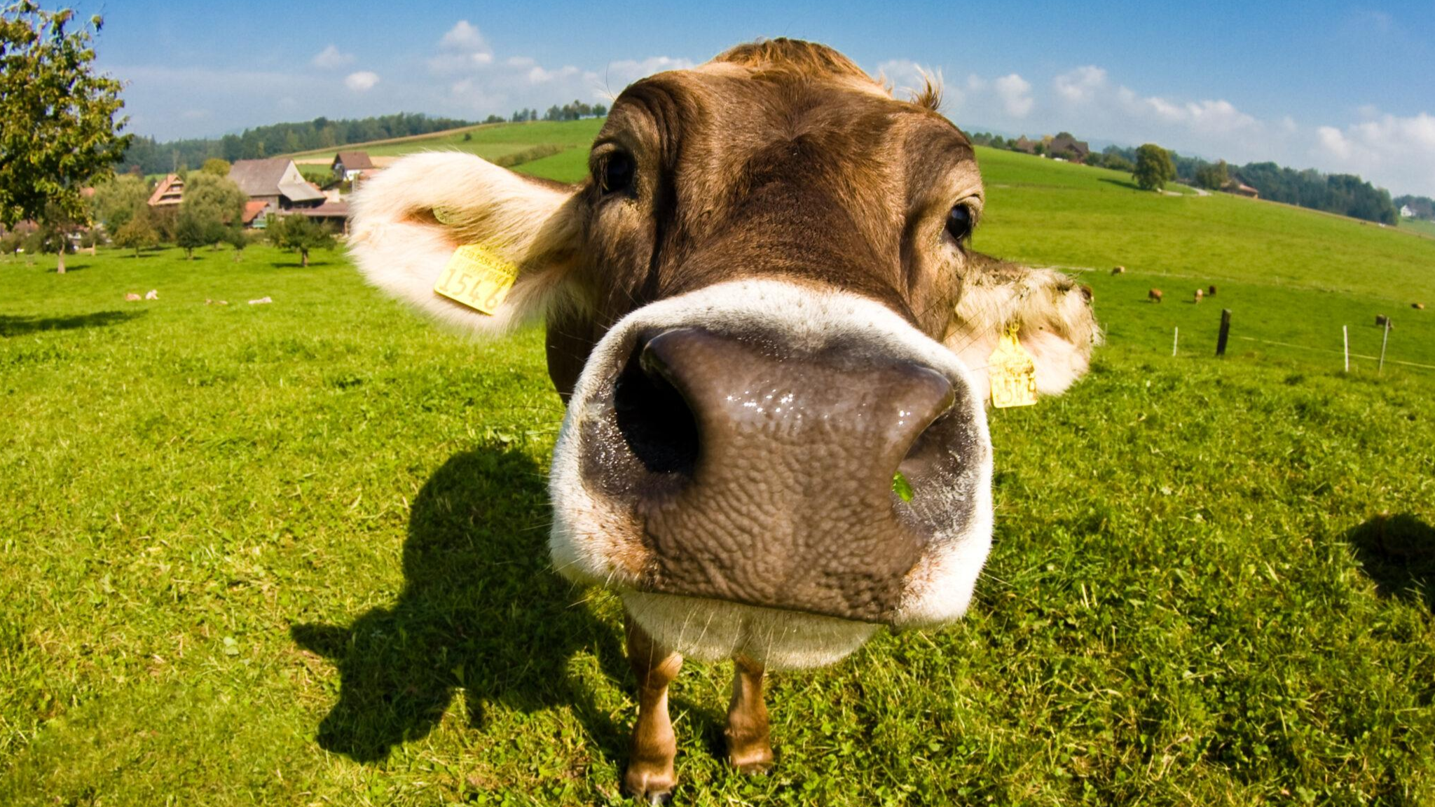 gitignore 使用指南 - Python开发