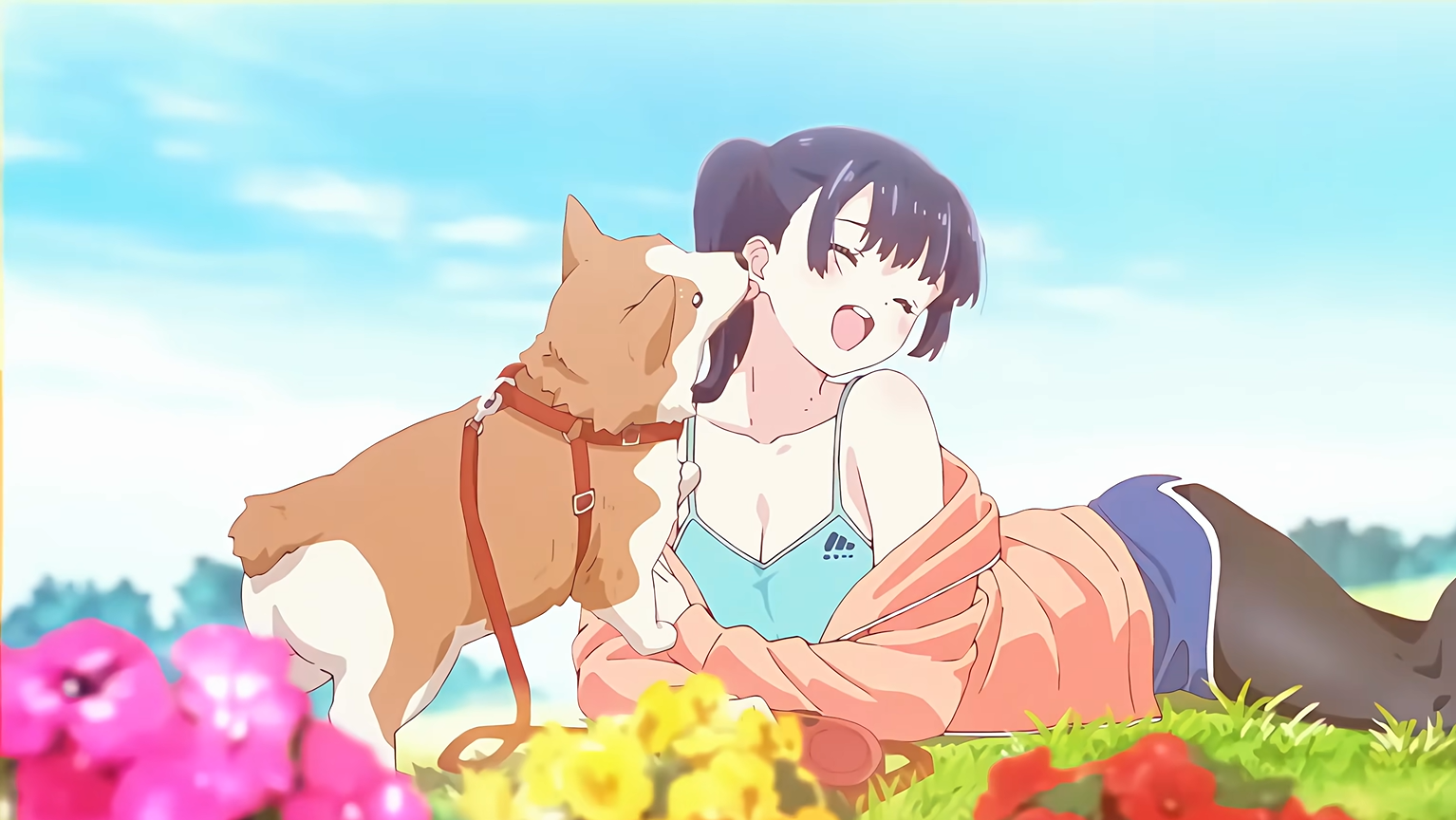 【算法基础】并查集