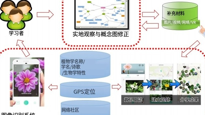 综合概念映射与图像识别方法提高学生科学探究课程成绩