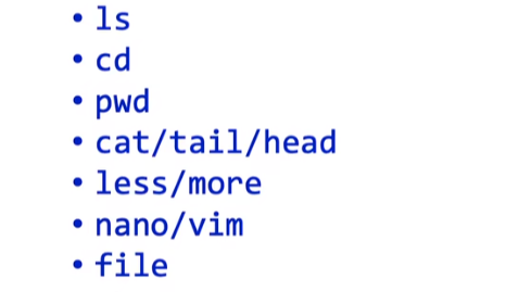 常用的Linux命令介绍：13个基本命令和Shell脚本编程