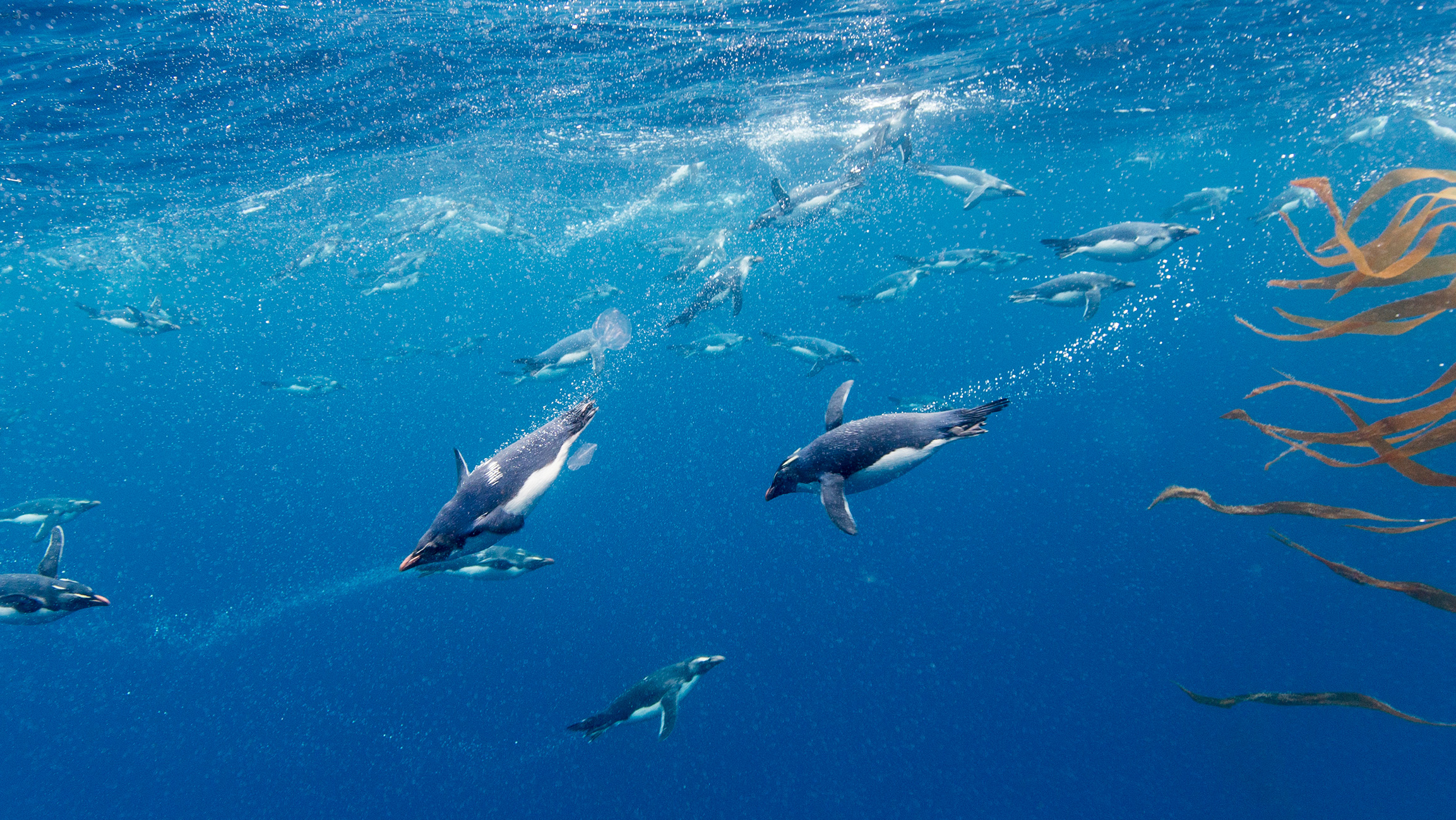 关于mysql忘记密码的解决策略