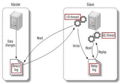 MySQL 主從複製原理