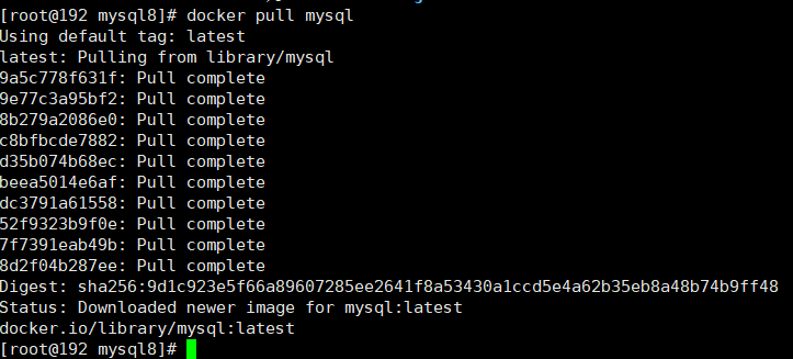 docker安装mysql