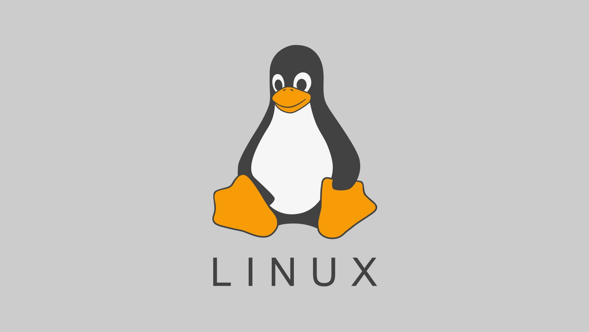 Linux命令入门与详解