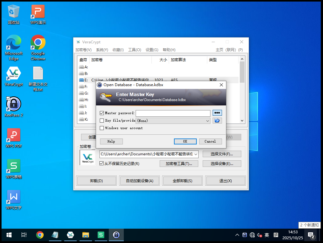 image-20251025171526960