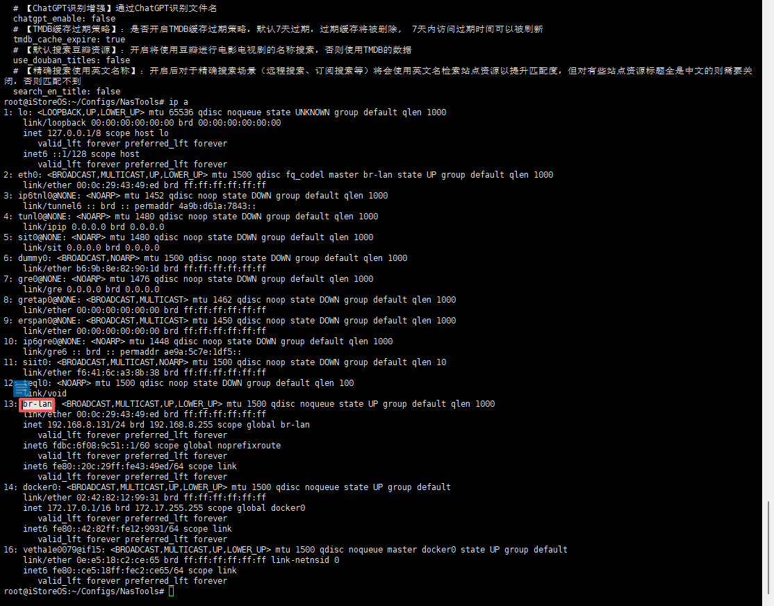 image-20251205223642236