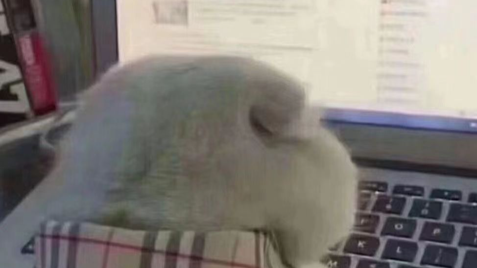 JAVA 学习心得1.22