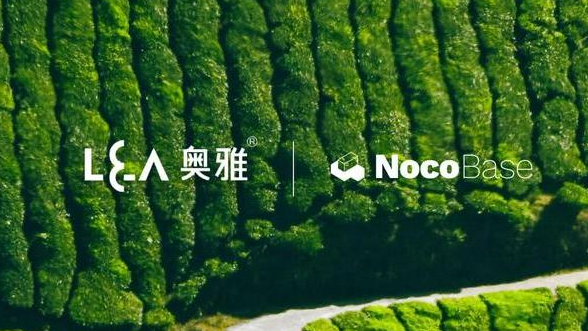 奥雅的数字化新版图:用 NocoBase 探索精细化管理新可能