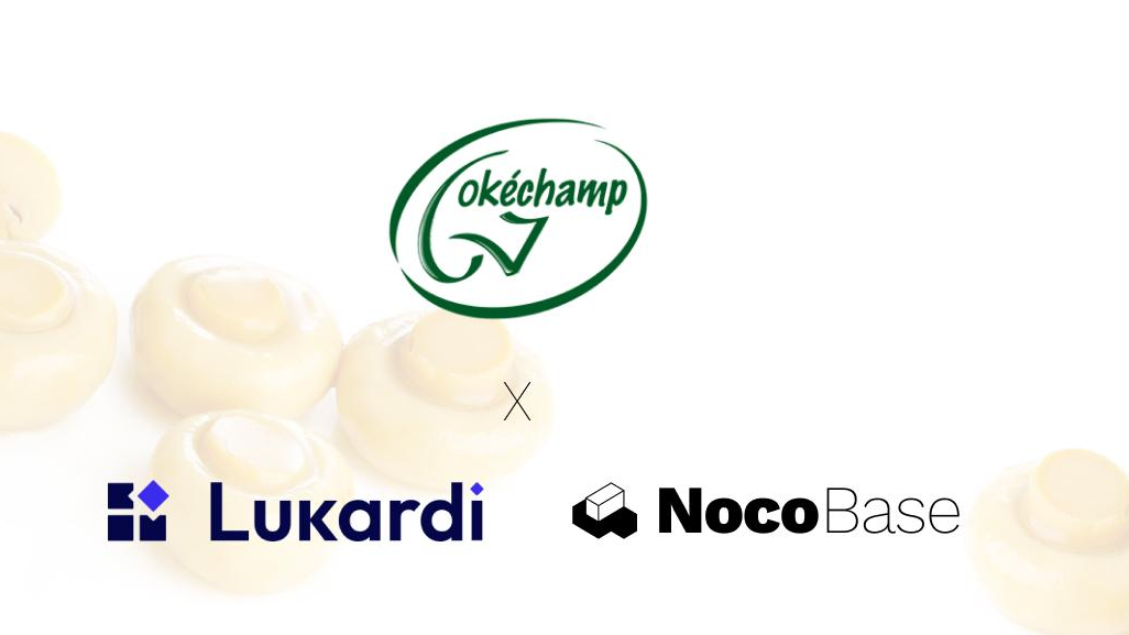 欧洲蘑菇巨头 Okechamp 如何用 6 周升级物流调度系统?