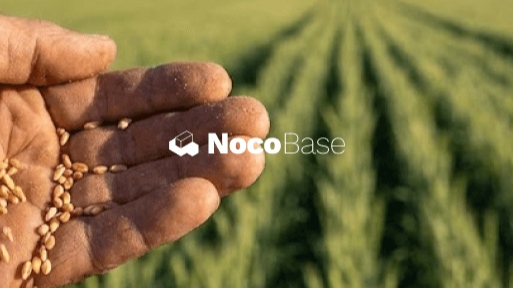 社区用户分享：用 NocoBase 搭建可落地的 ERP