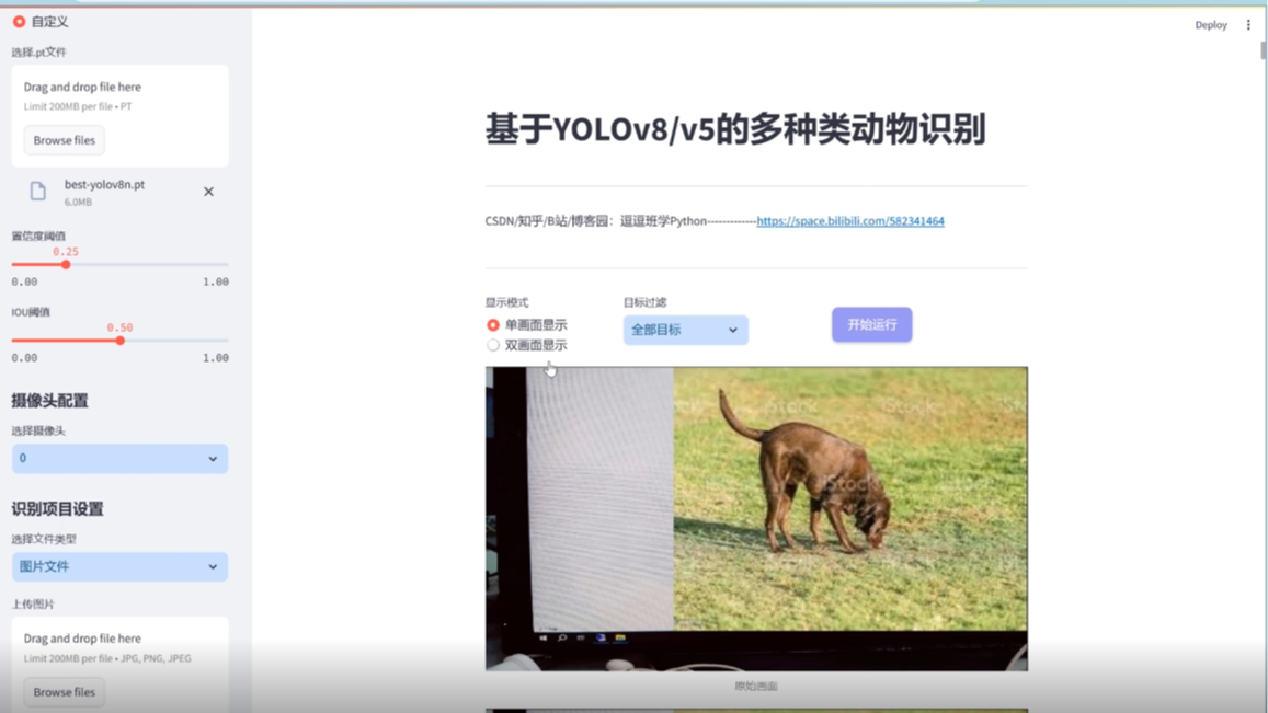 基于深度学习的多种类动物识别系统（网页版+YOLOv8/v7/v6/v5代码+训练数据集）