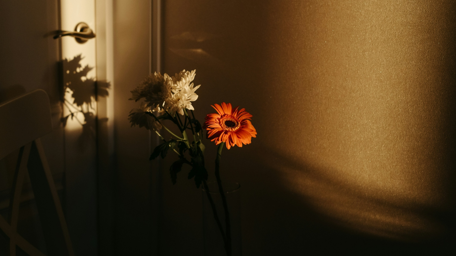 【每日一题】20241215