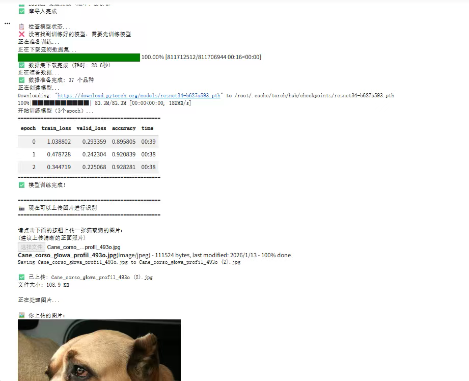 21faf8fcbdf03c504f108186d8032a76