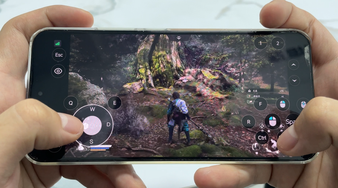 ScreenShot_2025-12-31_110020_305