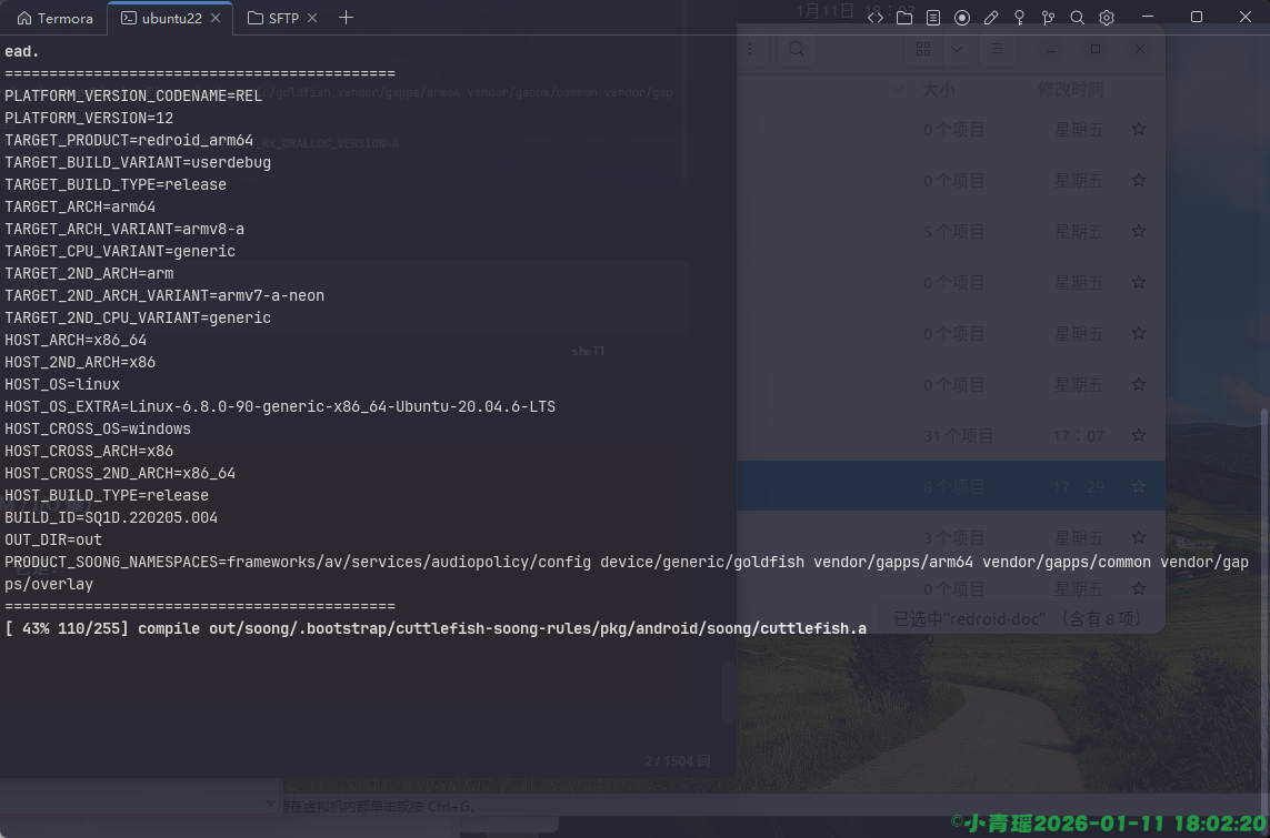 image-20260111180230306