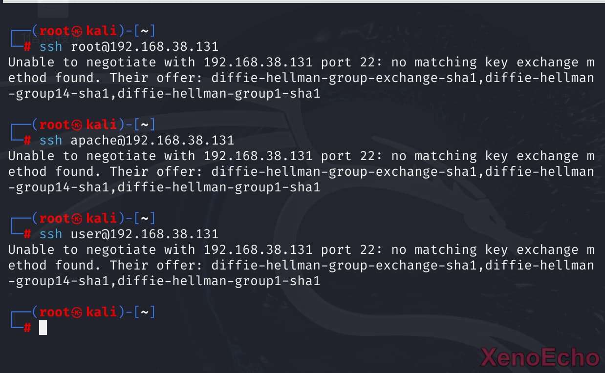 Pasted-image-20241223143630