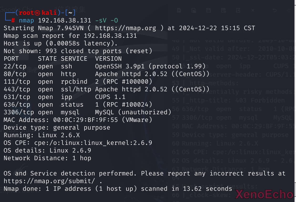 Pasted-image-20241222151555